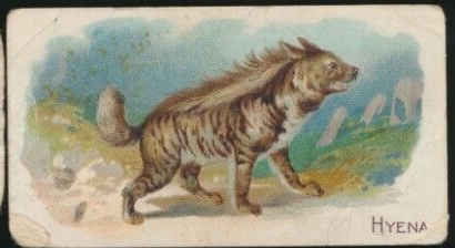 E28 Hyena.jpg